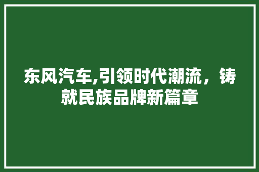 东风汽车,引领时代潮流，铸就民族品牌新篇章 车身配件