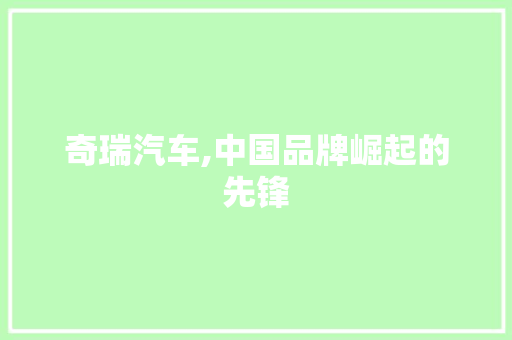奇瑞汽车,中国品牌崛起的先锋
