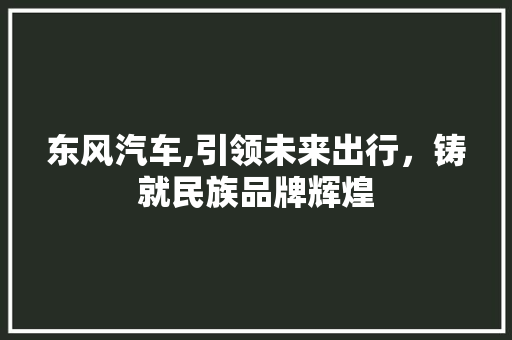 东风汽车,引领未来出行，铸就民族品牌辉煌 蓄电池配件