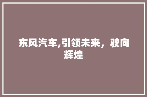 东风汽车,引领未来，驶向辉煌 蓄电池配件