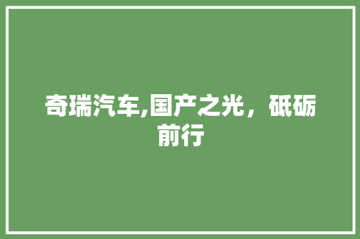 奇瑞汽车,国产之光，砥砺前行