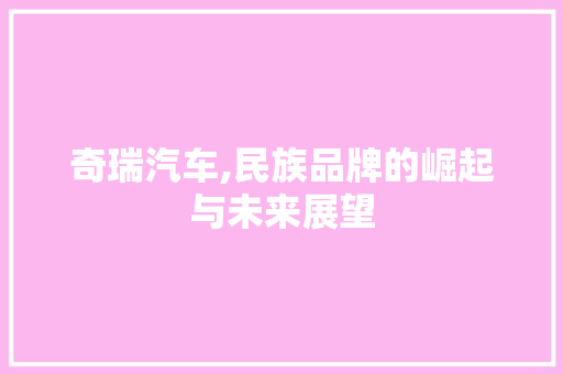 奇瑞汽车,民族品牌的崛起与未来展望