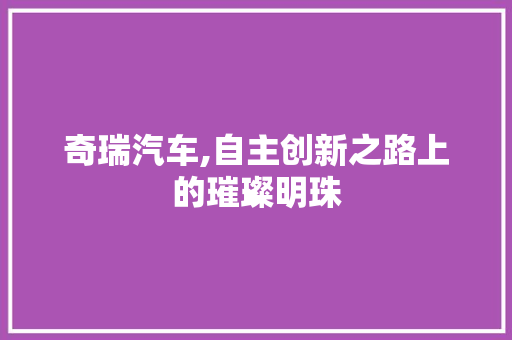 奇瑞汽车,自主创新之路上的璀璨明珠