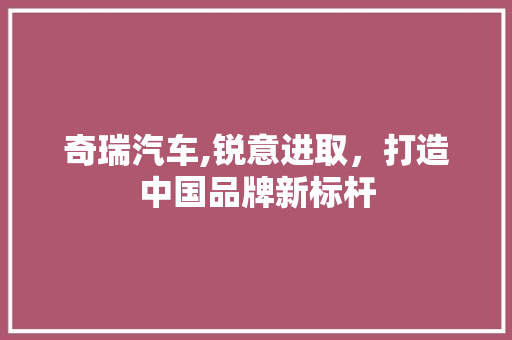奇瑞汽车,锐意进取，打造中国品牌新标杆