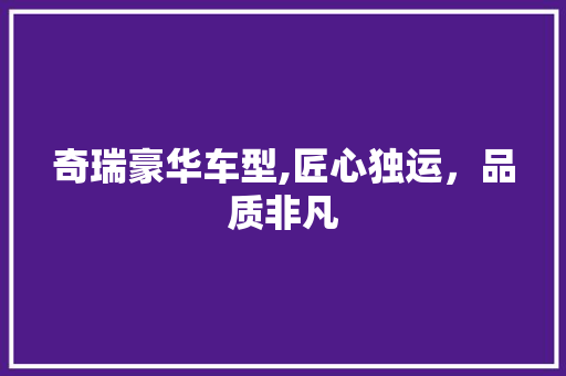 奇瑞豪华车型,匠心独运，品质非凡