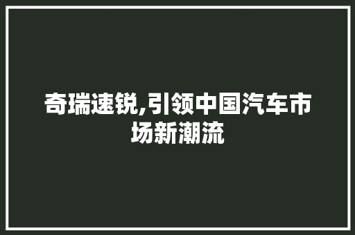 奇瑞速锐,引领中国汽车市场新潮流