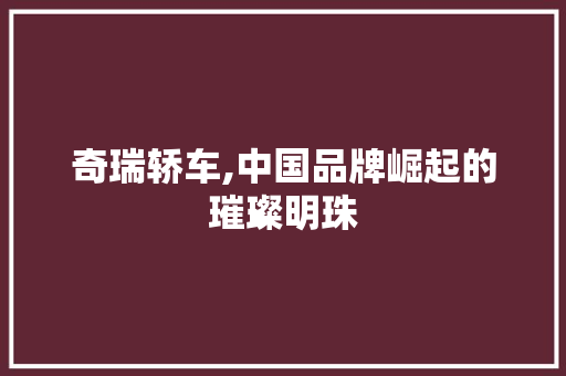奇瑞轿车,中国品牌崛起的璀璨明珠