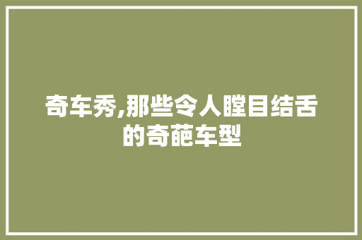 奇车秀,那些令人瞠目结舌的奇葩车型