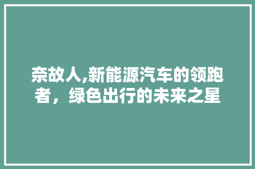 奈故人,新能源汽车的领跑者，绿色出行的未来之星