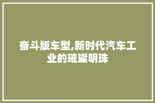 奋斗版车型,新时代汽车工业的璀璨明珠