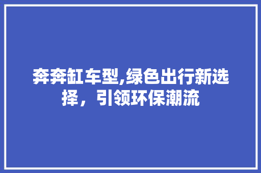 奔奔缸车型,绿色出行新选择，引领环保潮流