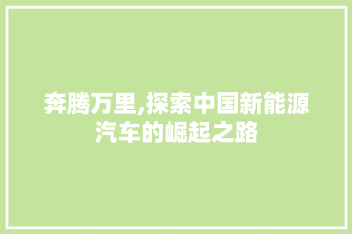 奔腾万里,探索中国新能源汽车的崛起之路