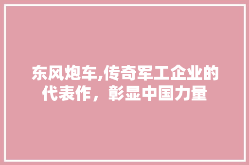 东风炮车,传奇军工企业的代表作，彰显中国力量 蓄电池配件