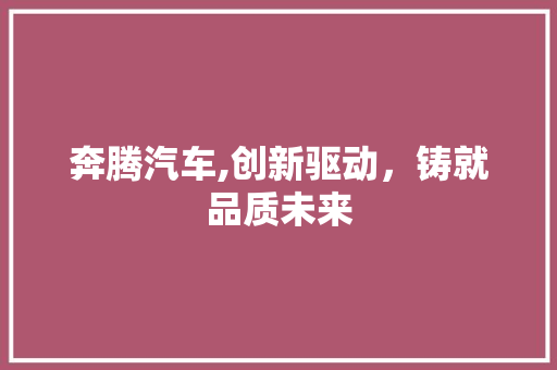 奔腾汽车,创新驱动，铸就品质未来 蓄电池配件