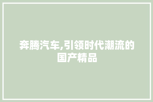 奔腾汽车,引领时代潮流的国产精品 汽车配件