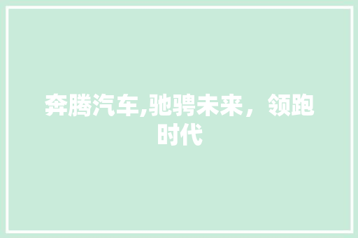 奔腾汽车,驰骋未来，领跑时代