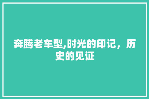奔腾老车型,时光的印记，历史的见证