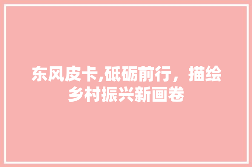 东风皮卡,砥砺前行，描绘乡村振兴新画卷 变速箱配件