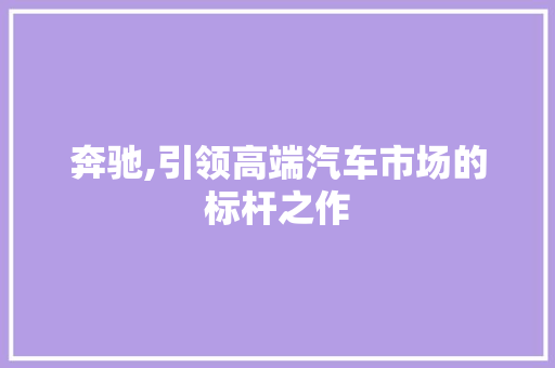 奔驰,引领高端汽车市场的标杆之作