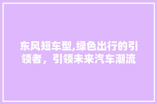 东风短车型,绿色出行的引领者，引领未来汽车潮流 车灯配件