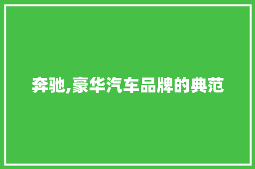 奔驰,豪华汽车品牌的典范