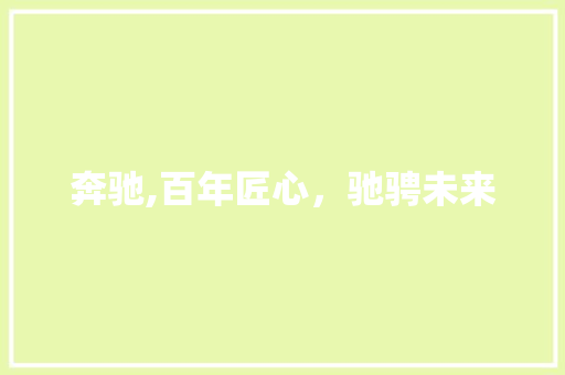 奔驰,百年匠心，驰骋未来