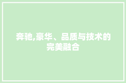 奔驰,豪华、品质与技术的完美融合