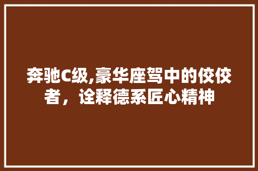 奔驰C级,豪华座驾中的佼佼者，诠释德系匠心精神