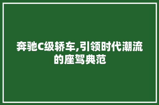 奔驰C级轿车,引领时代潮流的座驾典范