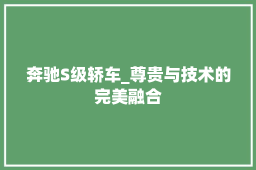 奔驰S级轿车_尊贵与技术的完美融合