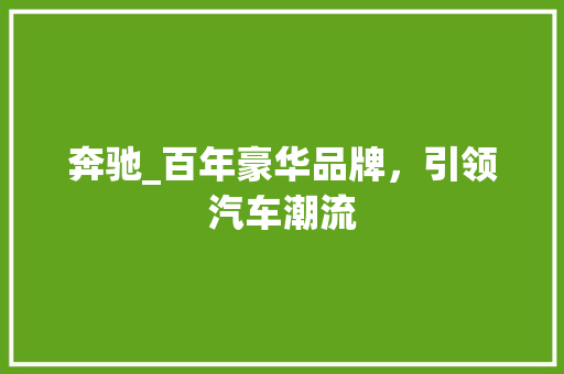 奔驰_百年豪华品牌，引领汽车潮流