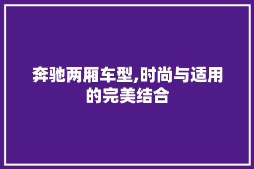 奔驰两厢车型,时尚与适用的完美结合