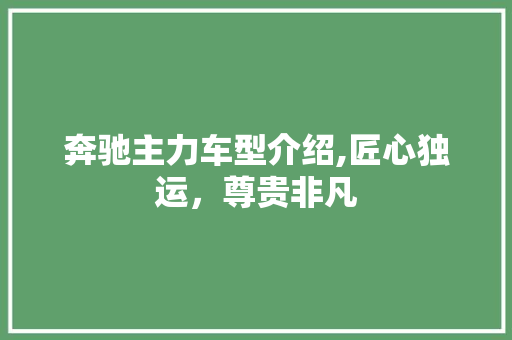 奔驰主力车型介绍,匠心独运，尊贵非凡