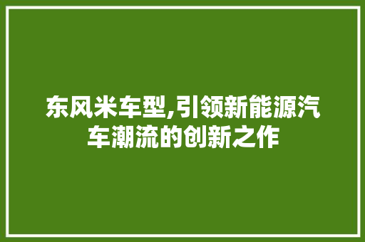 东风米车型,引领新能源汽车潮流的创新之作 车身配件