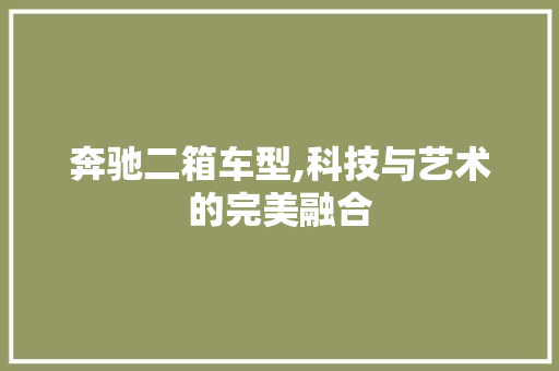 奔驰二箱车型,科技与艺术的完美融合