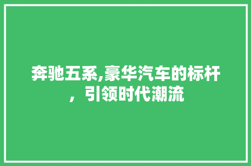 奔驰五系,豪华汽车的标杆，引领时代潮流