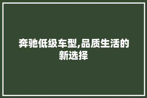 奔驰低级车型,品质生活的新选择