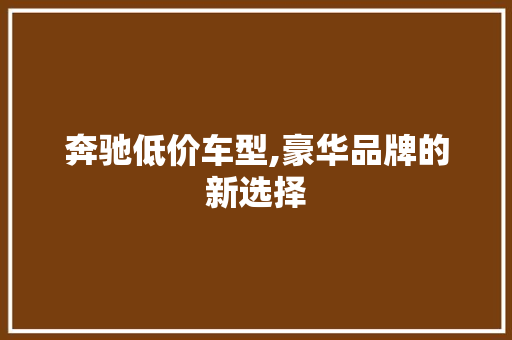 奔驰低价车型,豪华品牌的新选择