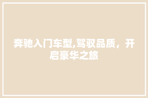 奔驰入门车型,驾驭品质，开启豪华之旅