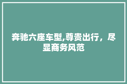奔驰六座车型,尊贵出行，尽显商务风范