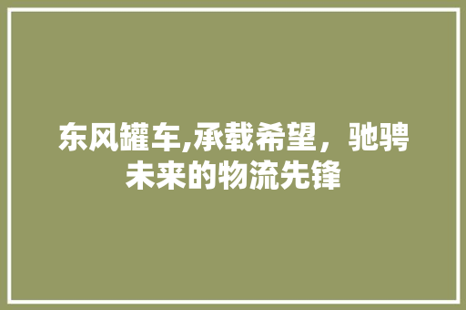 东风罐车,承载希望，驰骋未来的物流先锋 新款车型
