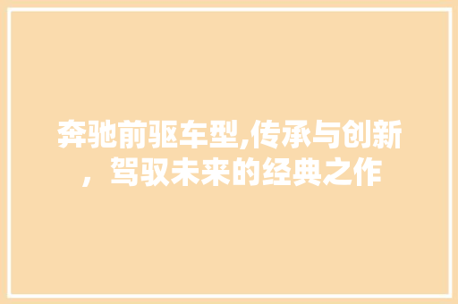 奔驰前驱车型,传承与创新，驾驭未来的经典之作