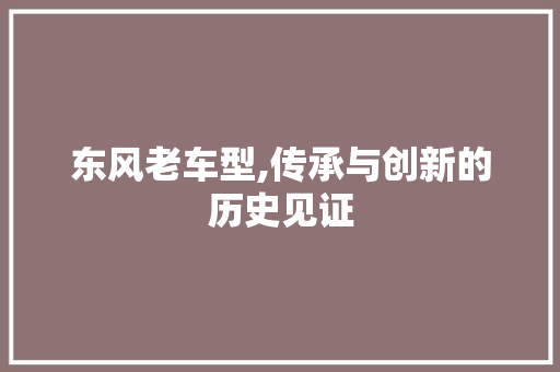 东风老车型,传承与创新的历史见证 底盘配件