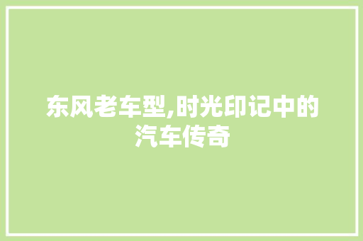 东风老车型,时光印记中的汽车传奇 车身配件