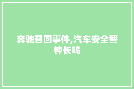 奔驰召回事件,汽车安全警钟长鸣