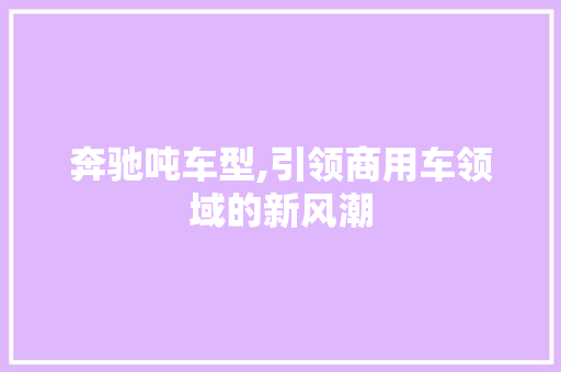 奔驰吨车型,引领商用车领域的新风潮