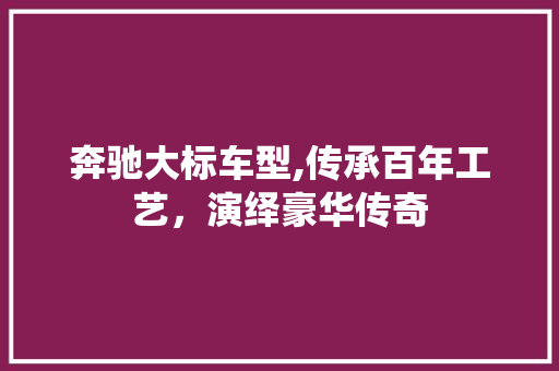 奔驰大标车型,传承百年工艺，演绎豪华传奇
