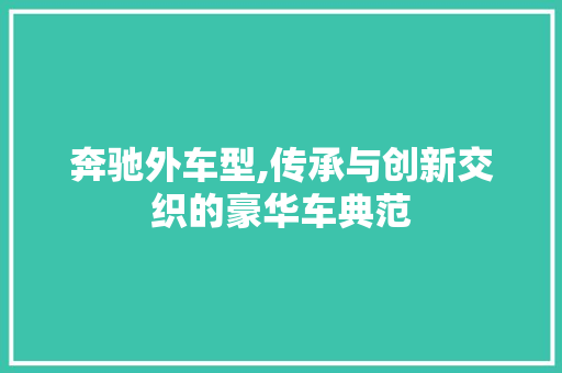 奔驰外车型,传承与创新交织的豪华车典范