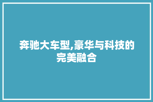 奔驰大车型,豪华与科技的完美融合