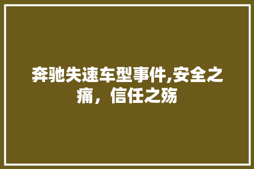 奔驰失速车型事件,安全之痛，信任之殇